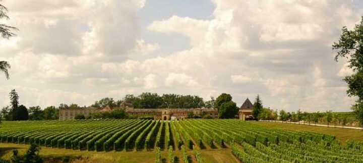 img_0-1443618255_960x431