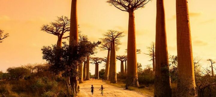 img_0-1446752605_960x431