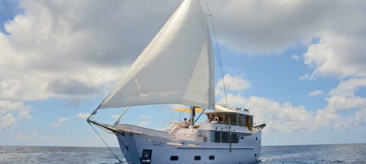 img_0-1449768705_960x431