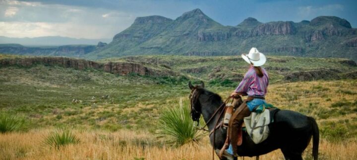 img_0-1450267103_960x431