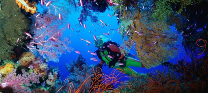 img_0-1452081038_960x431