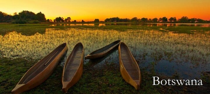 Le tourisme écologique au Botswana est la norme. DR