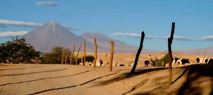 img_0-1464256264_960x431