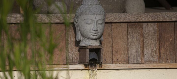 Yoga Searcher à la Ferme Audine. DR