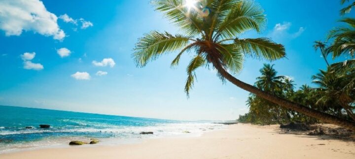 img_0-1475014124_960x431