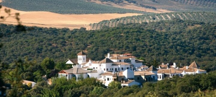 img_0-1480443449_960x431