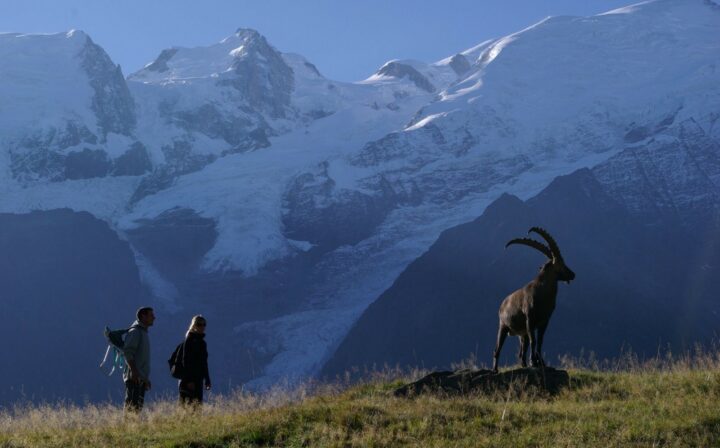 Samoëns : le slow tourism. DR