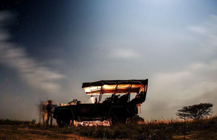 Les safaris en Afrique du Sud, un must. DR