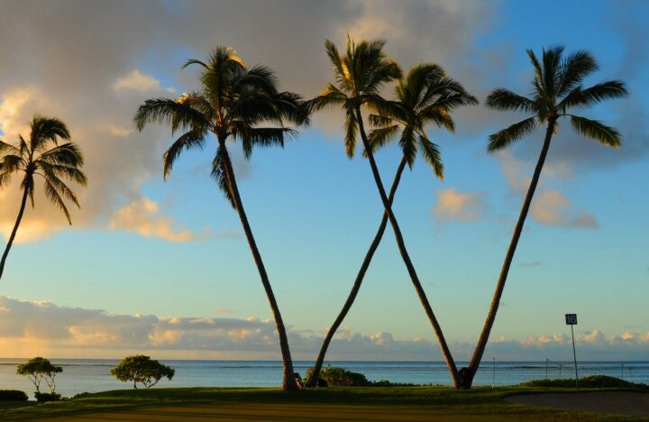 Golfer à Hawaï, un rêve ! DR