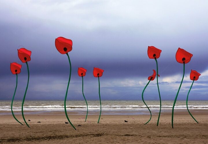 img_0-1536941165_960x431