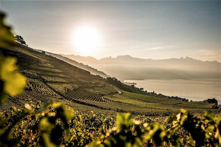 img_0-1543853191_960x431