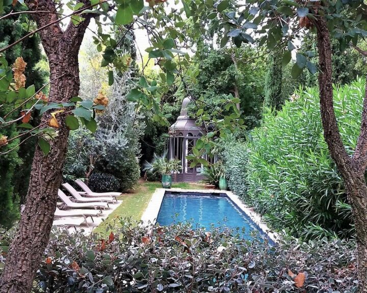 img_0-1549309626_960x431