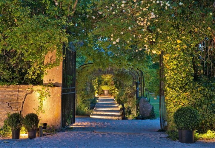 img_0-1556214712_960x431