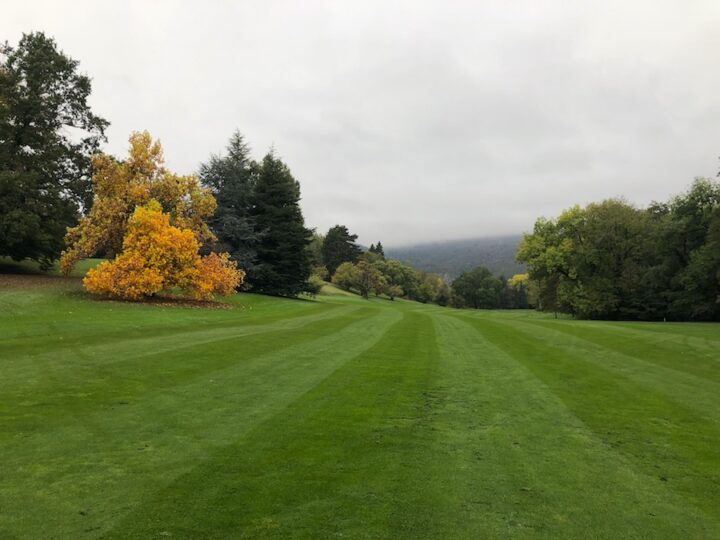 img_0-1574269289_960x431