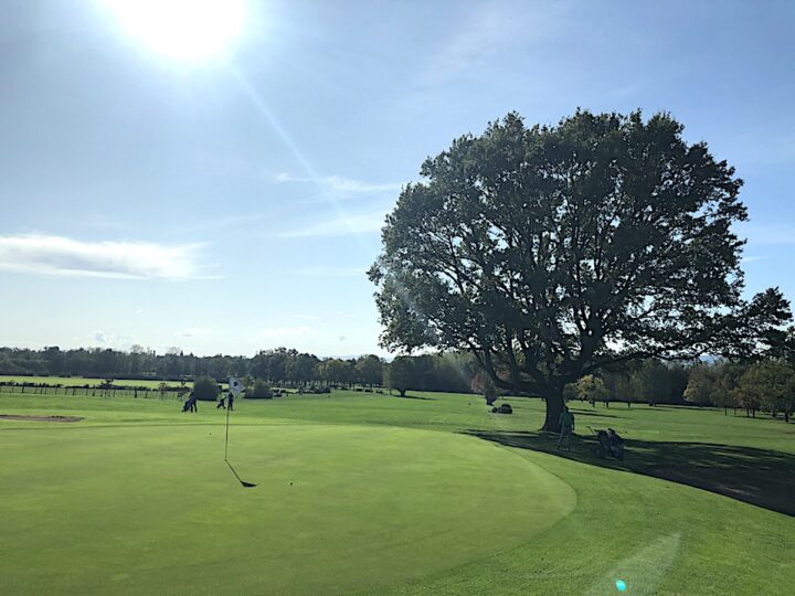 img_0-1579277314_960x431