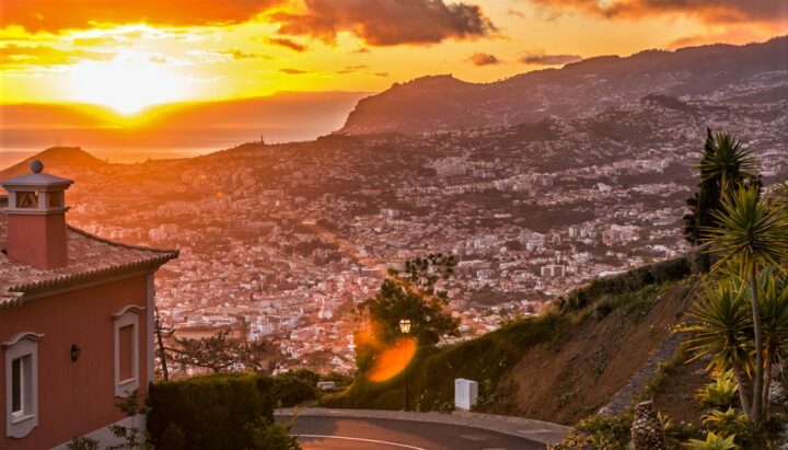 img_0-1604334577_960x431