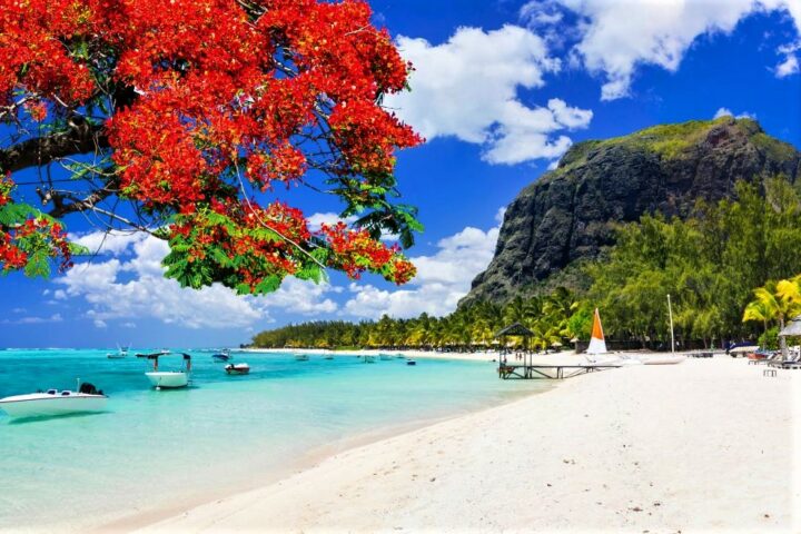 img_0-1606996145_960x431