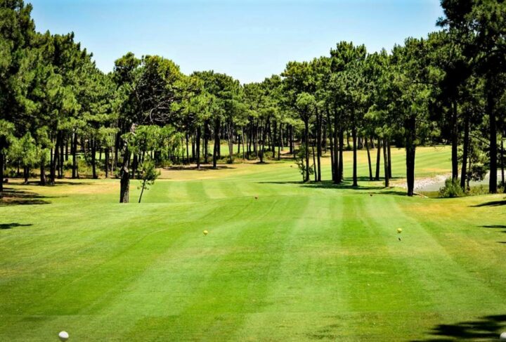 img_0-1619629614_960x431