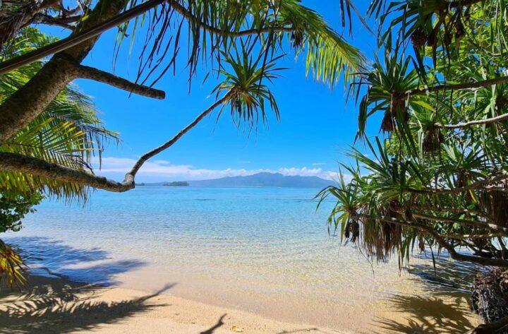 img_0-1641575868_960x431