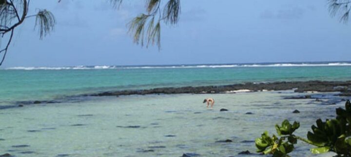 img_0_960x431