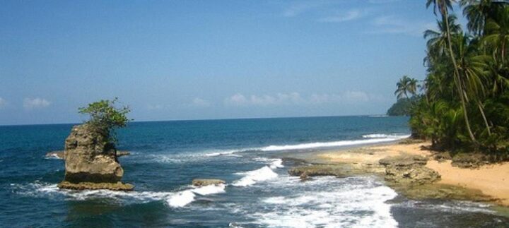 img_0_960x431