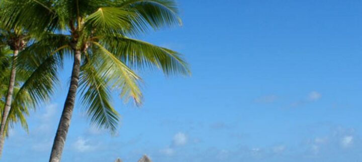 img_0_960x431