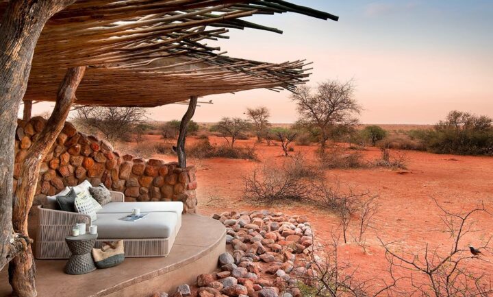 Safaris-photos en Afrique. DR