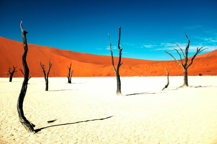 Circuit en Namibie. DR Unsplash