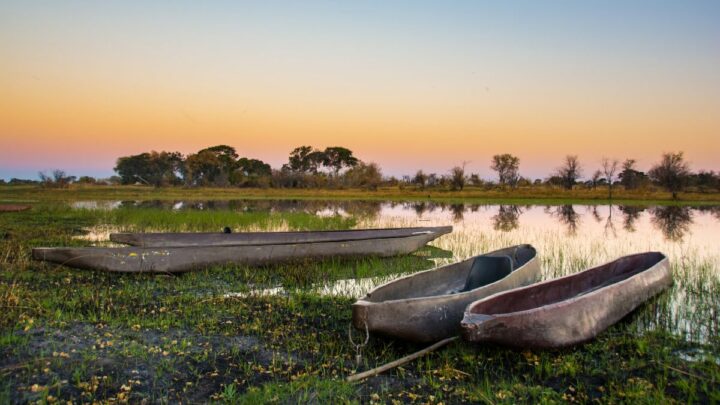 Les mokoros, ou canoés, au Botswana. DR Les mokoros, ou canoés, au Botswana. DR