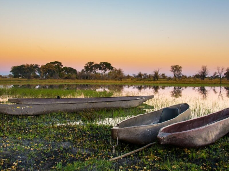 Les mokoros, ou canoés, au Botswana. DR