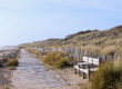 Plage sauvage de l'île de Ré. DR