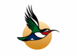 Vol Johannesburg-ZanzibarAirlink sunbird. DR