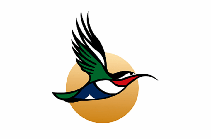 Vol Johannesburg-ZanzibarAirlink sunbird. DR Vol Johannesburg-ZanzibarAirlink sunbird. DR