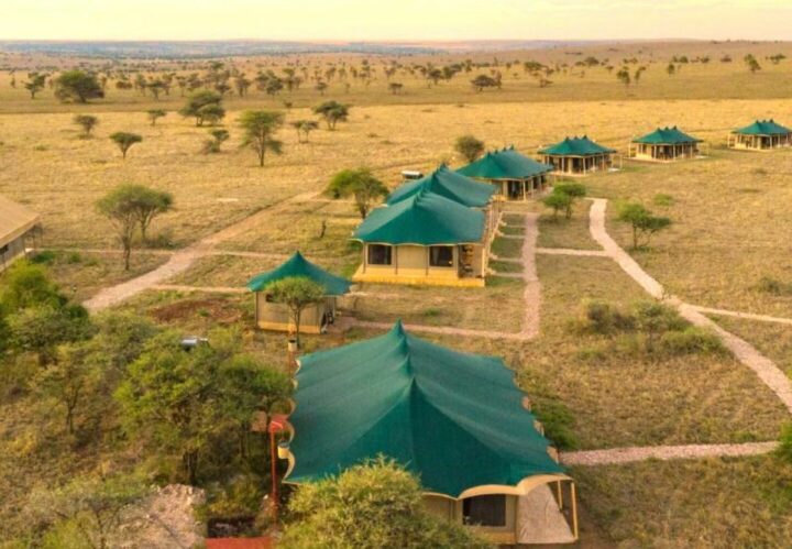Le camp Wild Wakati, en Tanzanie. DR