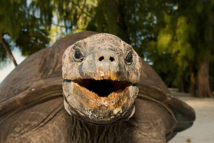 Miam ! ma ration de salade va augmenter !… istockphoto Miam ! ma ration de salade va augmenter !... istockphoto