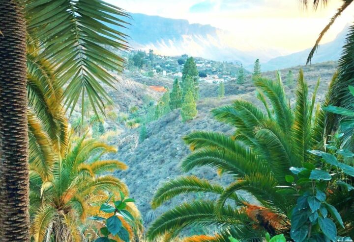 Où partir au soleil...DR