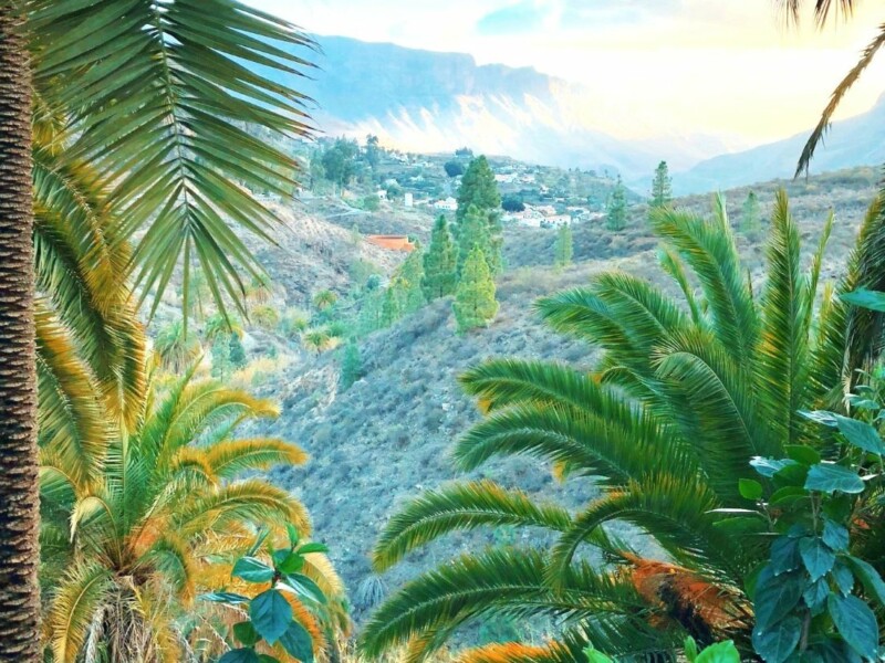 Où partir au soleil...DR